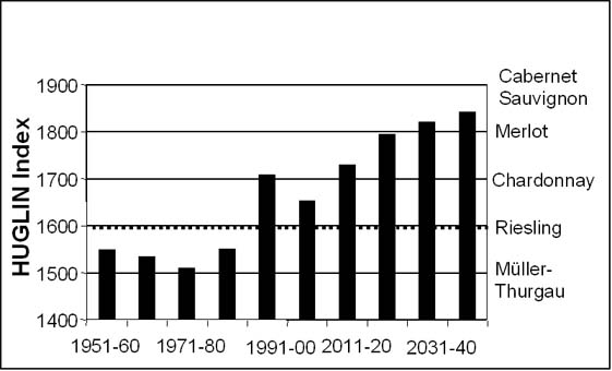 grafico.jpg