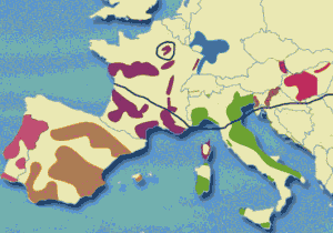 blend or single varietal wine areas